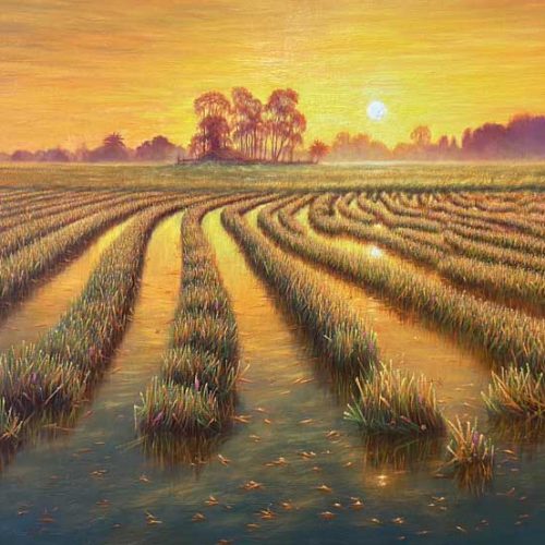 เช้าอันเงียบสงบของฤดูเก็บเกี่ยว เช้าอันเงียบสงบของฤดูเก็บเกี่ยว / Harvest’s Quiet Morning (2025)
