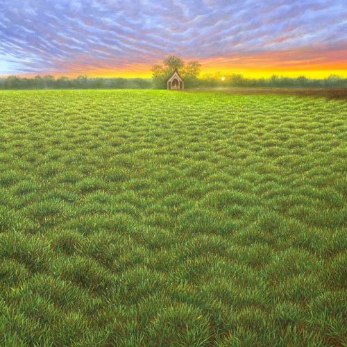 ทุ่งหญ้าแห่งมนตรา 80x100cm ทุ่งหญ้าแห่งมนตรา (Enchanted Grassland)