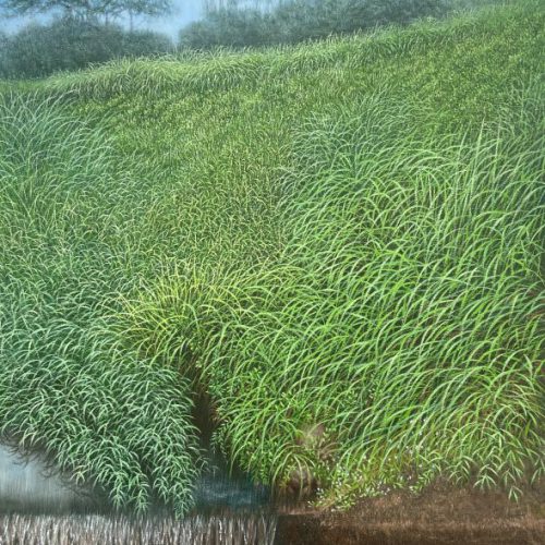เนินหญ้าในฤดูฝน 60x80cm เนิน หญ้าในฤูดฝน Rainy Season Hills