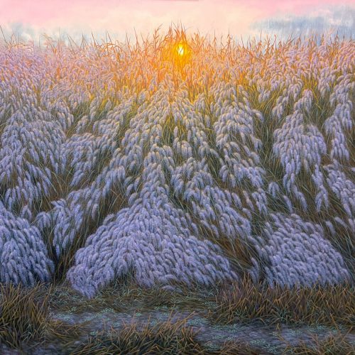 The Morning Spell of the Grassy Hill The Morning Spell of the Grassy Hill